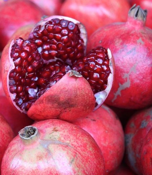 Punica Granatum 'Parfianca'